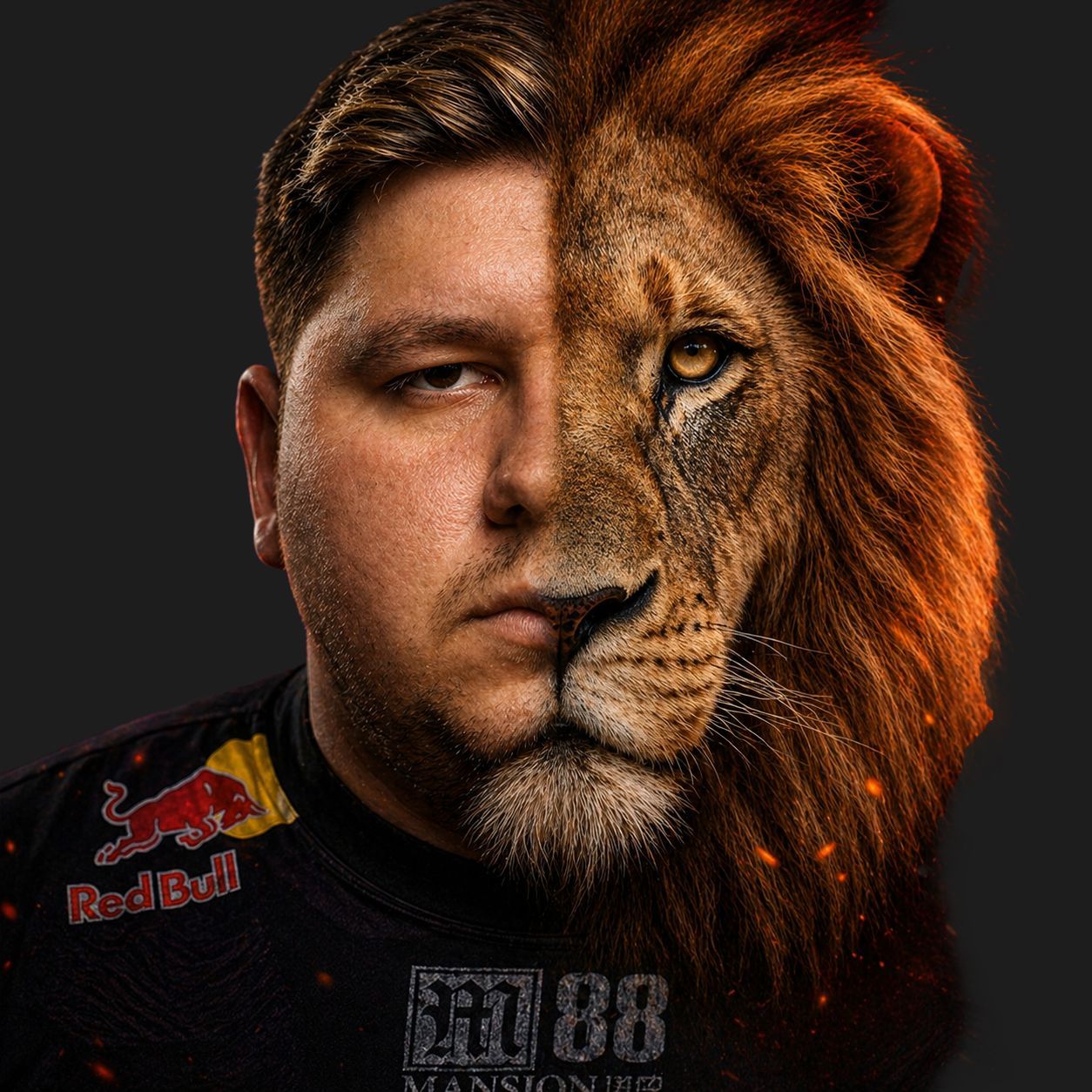 1bilb FACEIT avatar