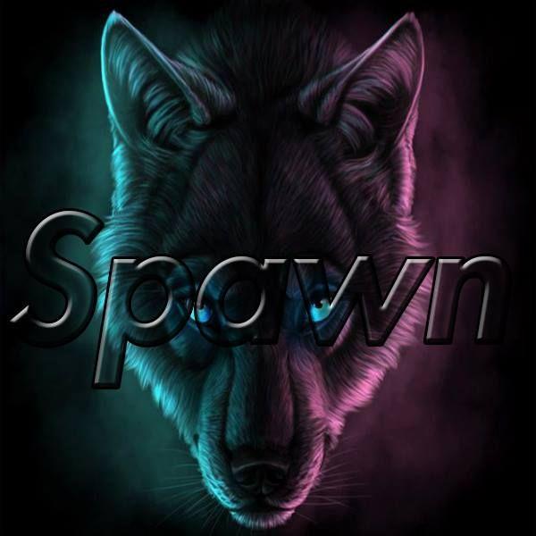 Player SpawnRo avatar