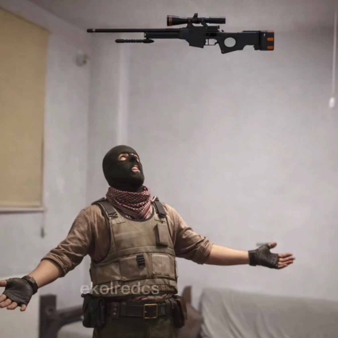 Amo44