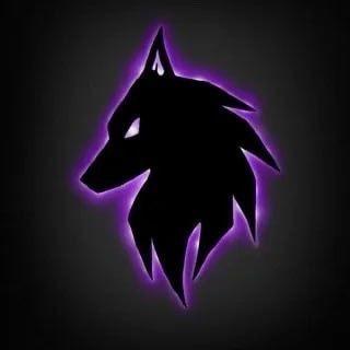 D9D9ZHENYA avatar