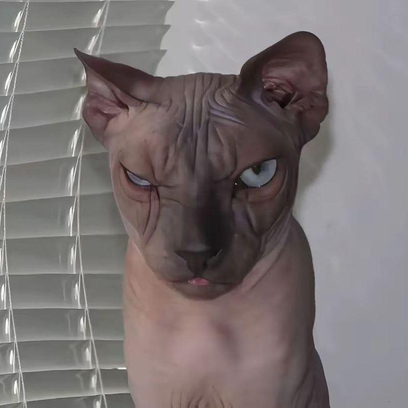 kirillay121 avatar