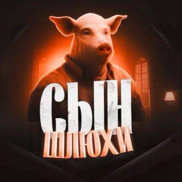 exxcideZVER avatar