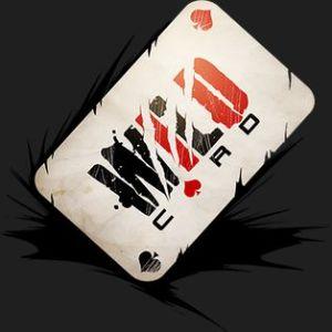 Player Wilddcard avatar
