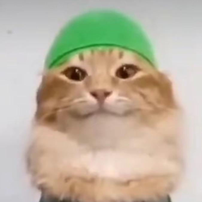 bekanskiy avatar