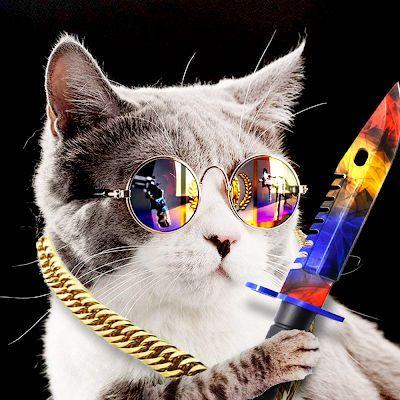 KnifeCat721 avatar