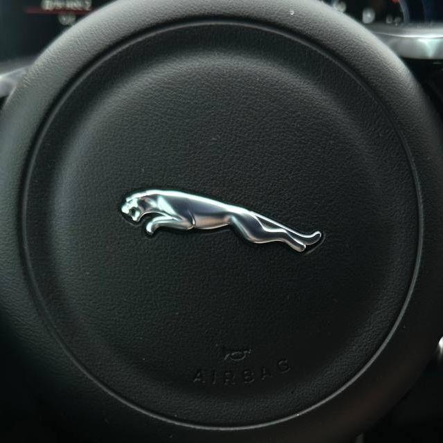 jaguarooo