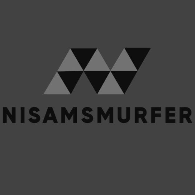 Player NisamSmurfer avatar