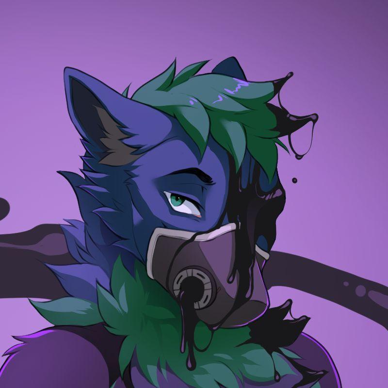 KokiWolf avatar