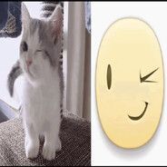 zejz