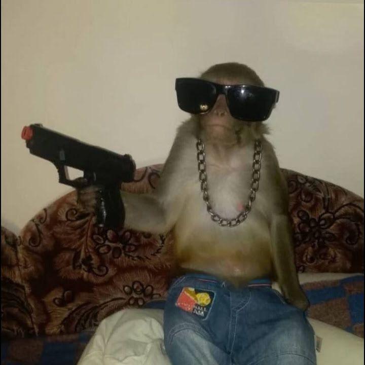 Frozzi20 avatar