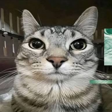 maloy_pozer