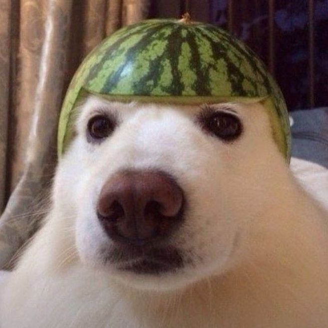 Ddoxty