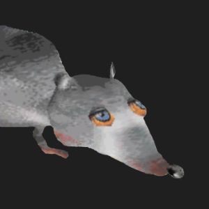 Faceit profile picture for @jksax