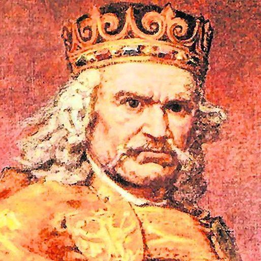 elkamciox avatar