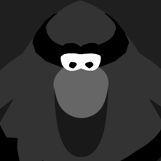 arriyay avatar