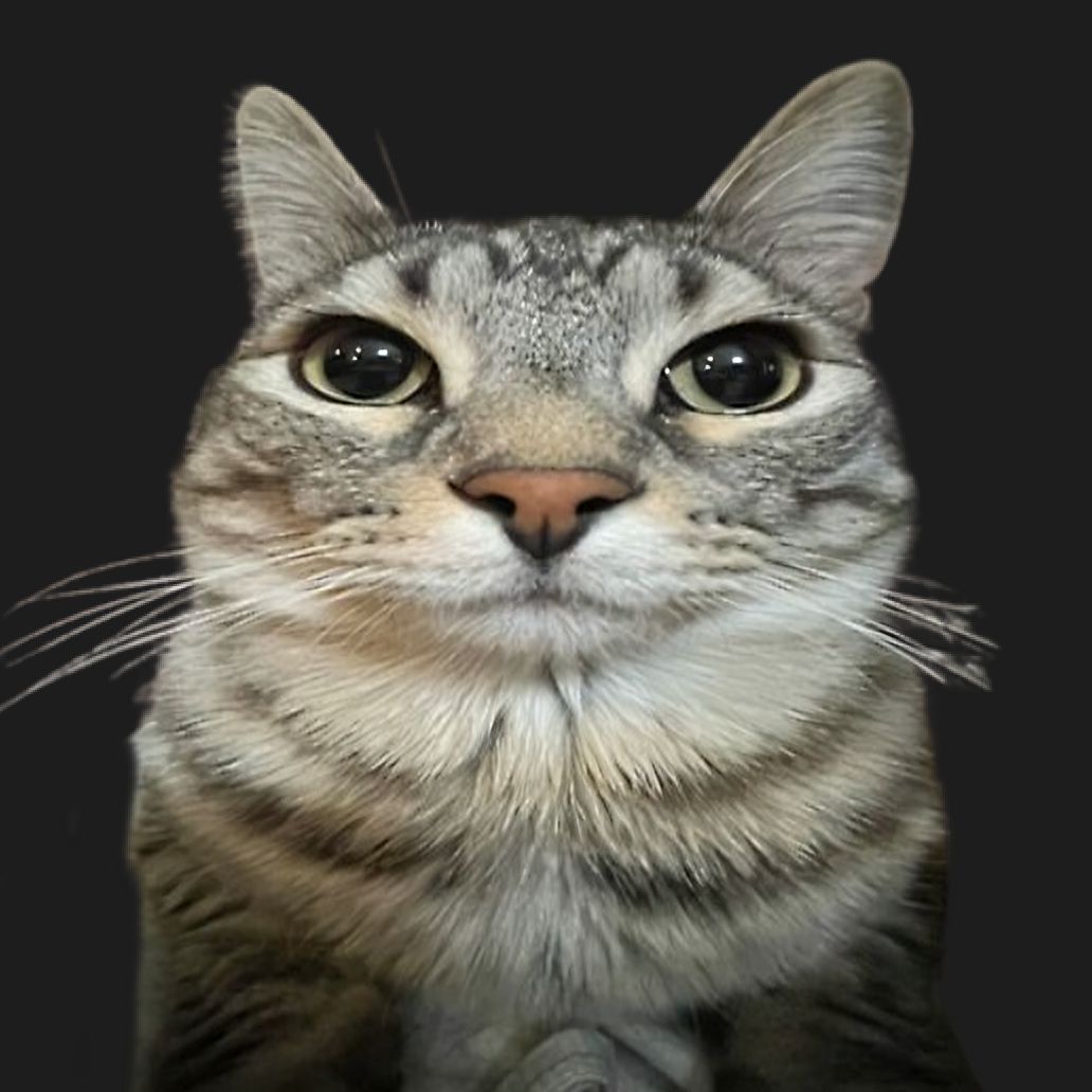Faceit Avatar