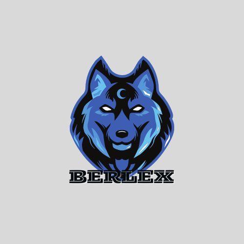 Player Berlex_ avatar