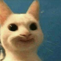 -Tak1za-