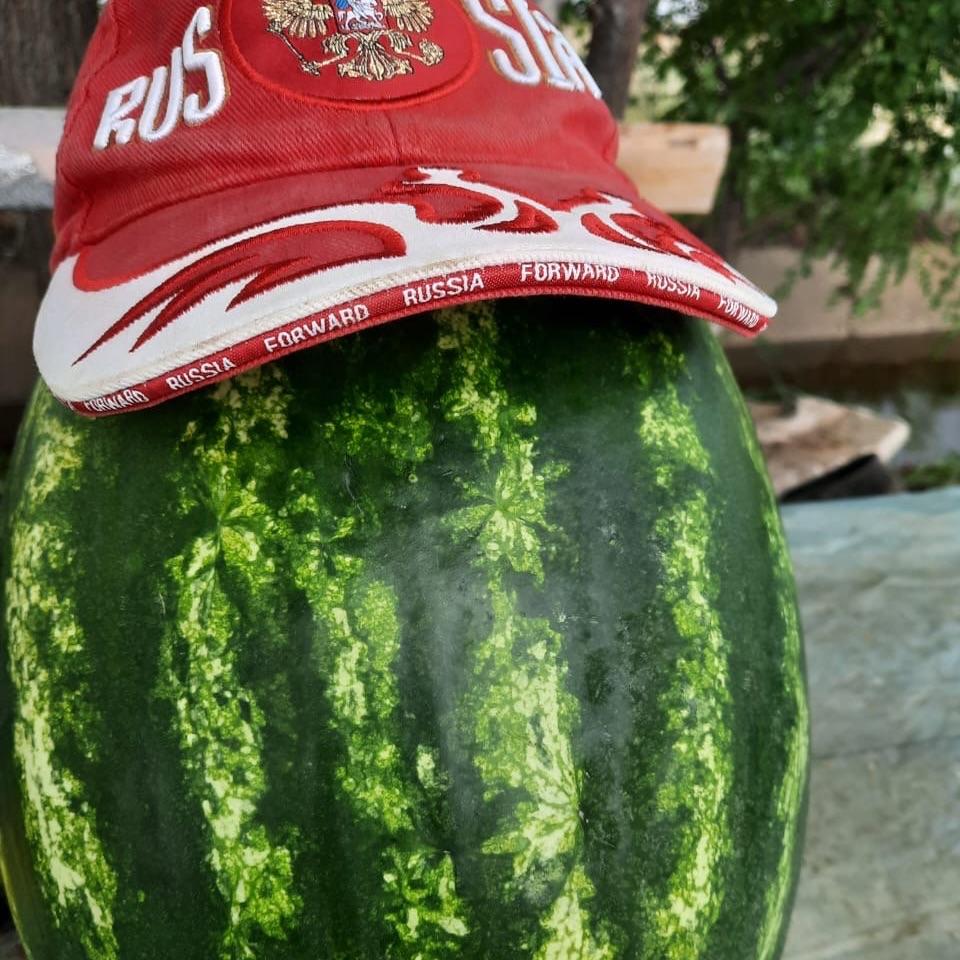Dzuuul