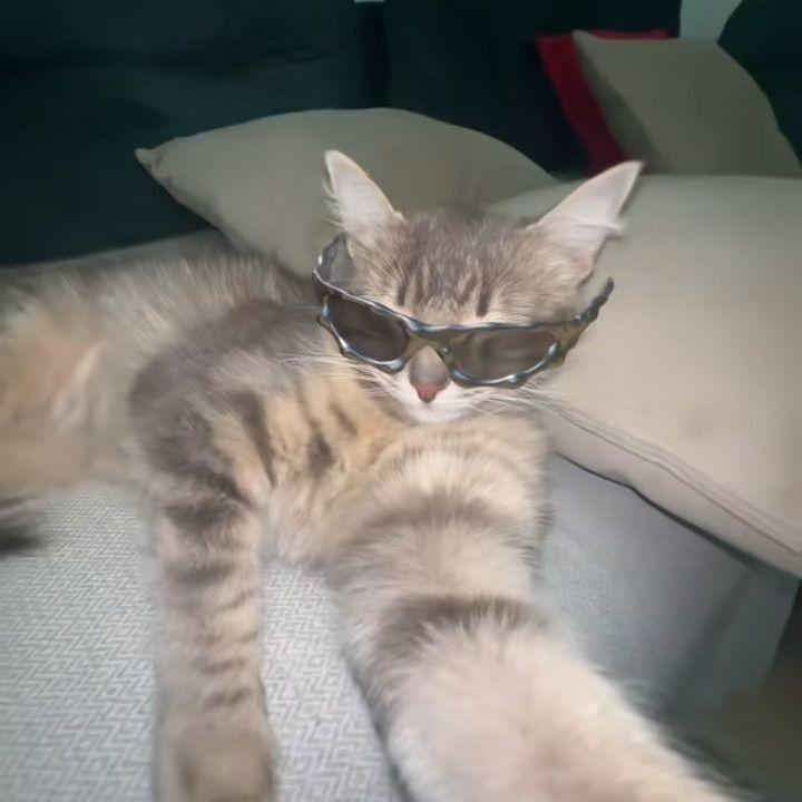 m1rkq1221 avatar