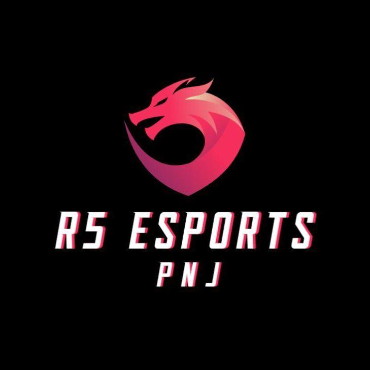 Player -PNJ- avatar