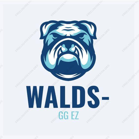 Player WALDS- avatar