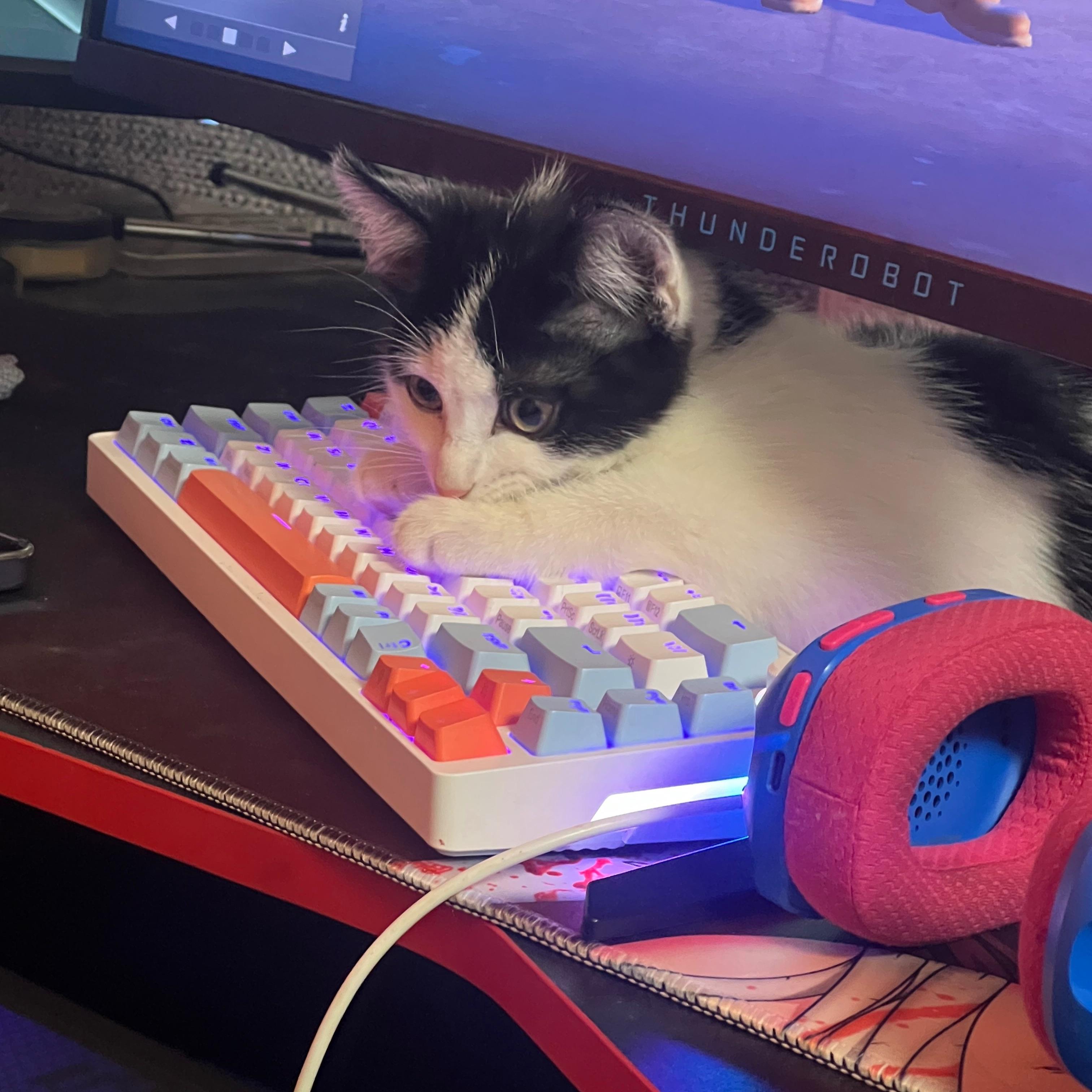 RAZERCOREJZ
