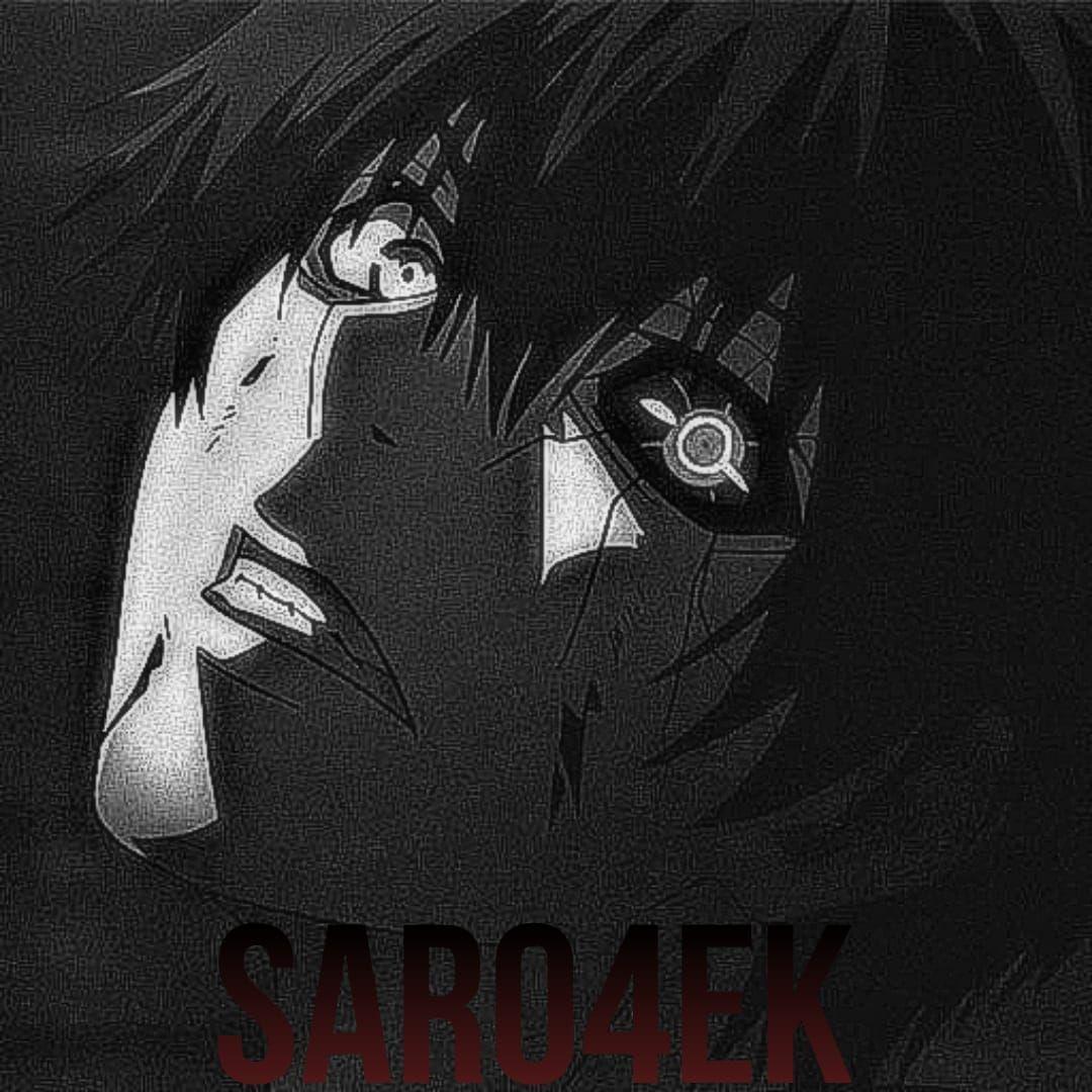 Player saro4ek avatar
