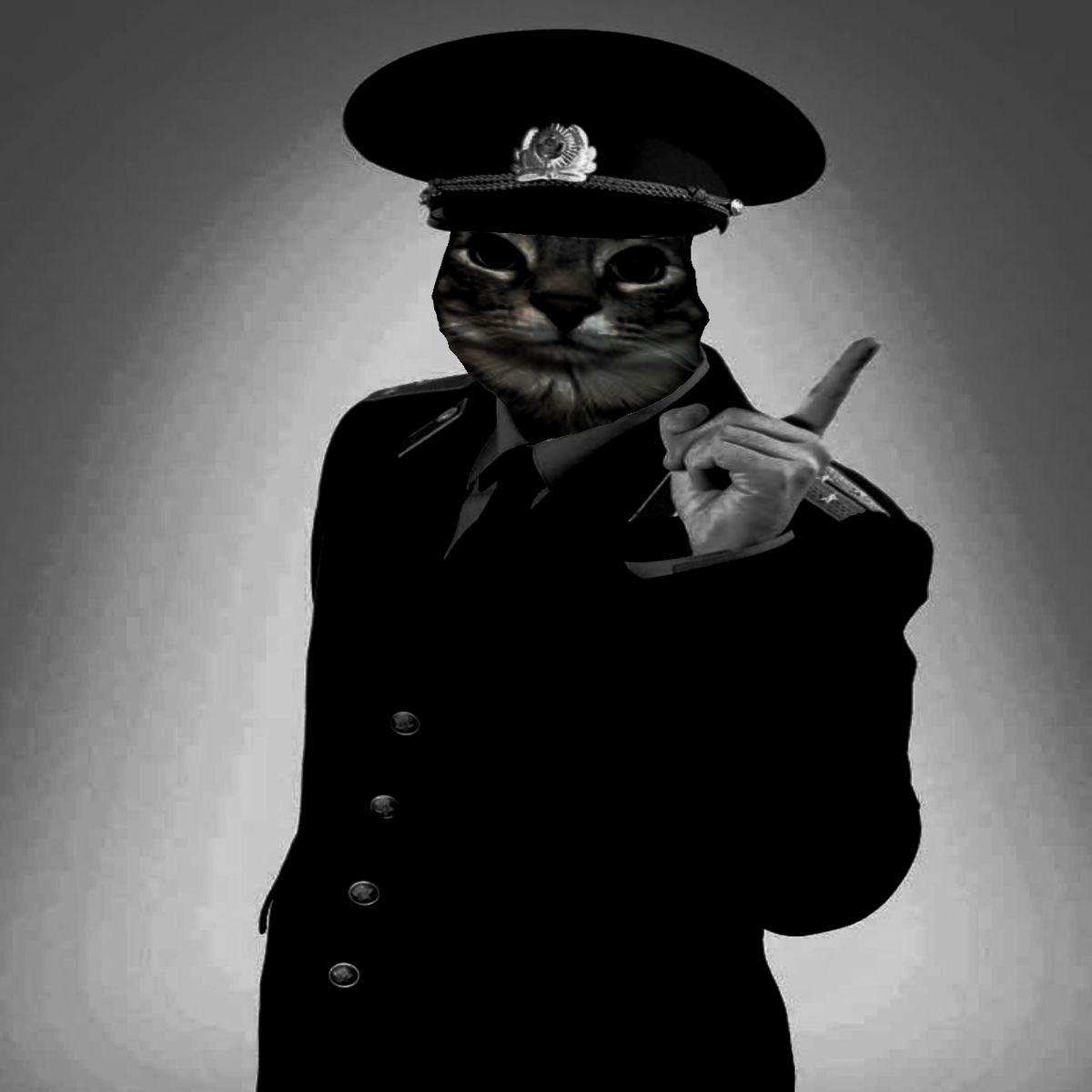a1beniX1 avatar