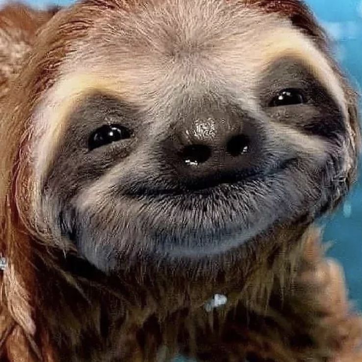 TierRus