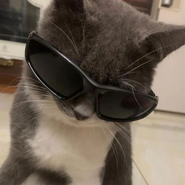 Hanezzz