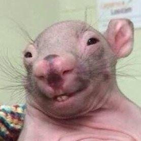 ManisY1 avatar