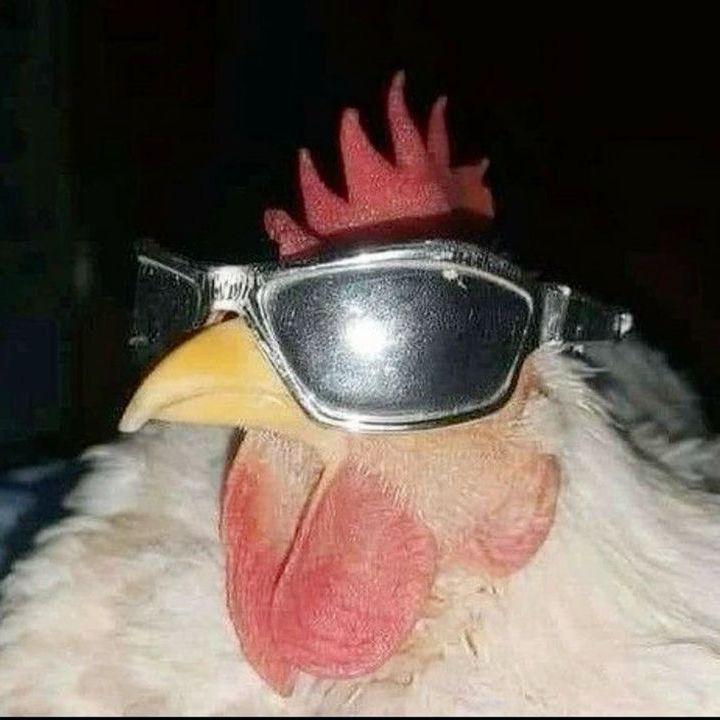 1toffu1 avatar