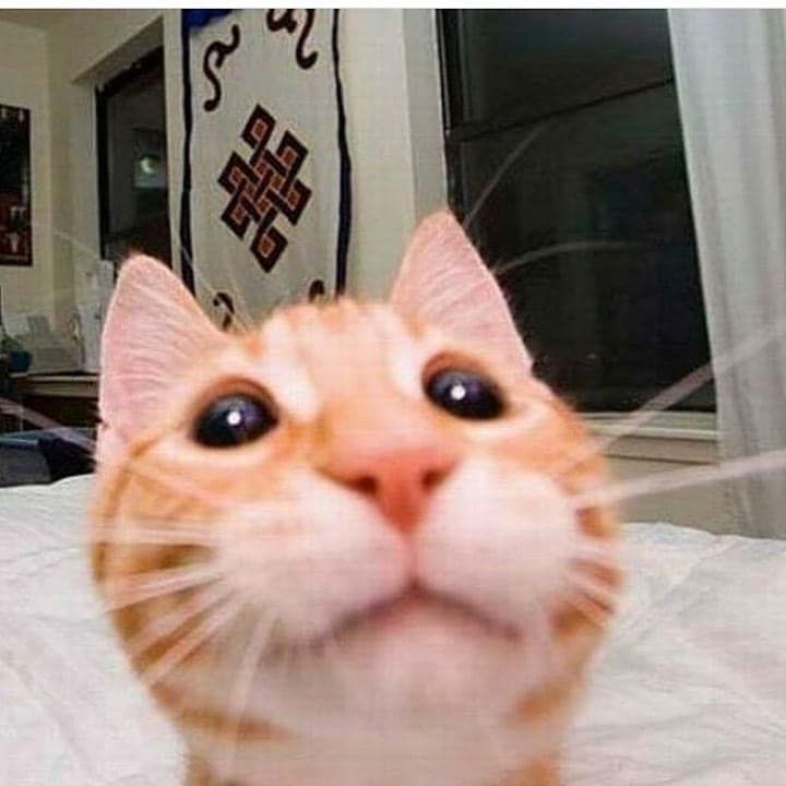 Swilquzoffc