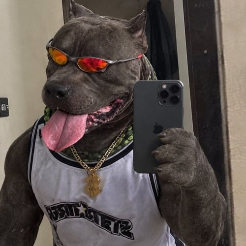 nethodman