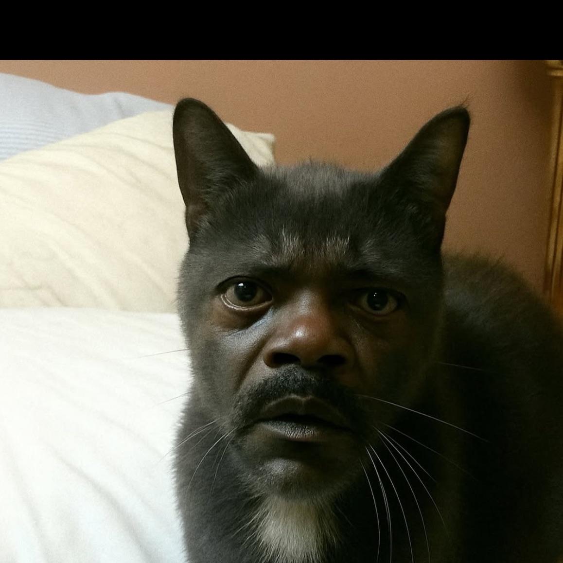 BlaCaT avatar