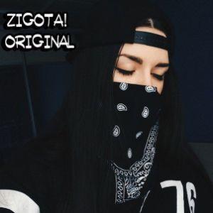 zigota_1337 avatar