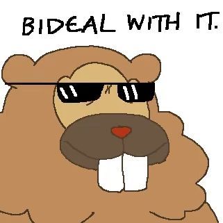 Bidoof Barons