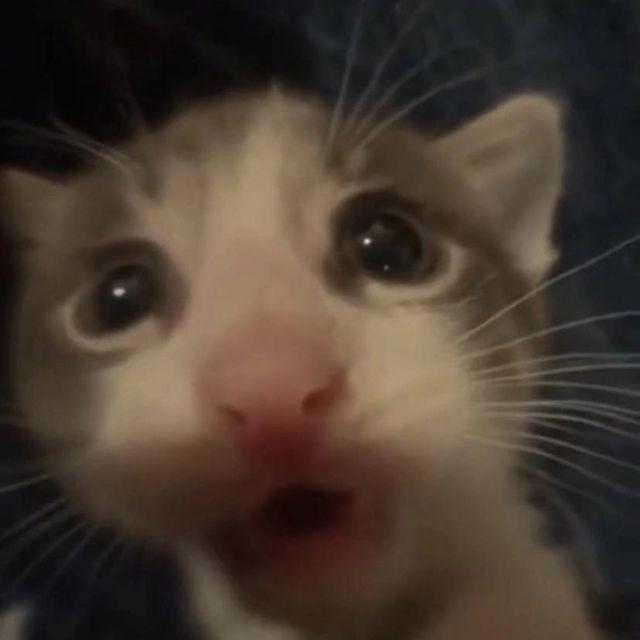 _koSTro_ avatar
