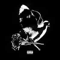 wadowas23 avatar