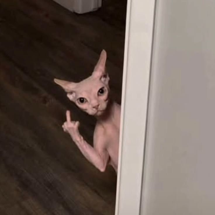 kkkiissssaa