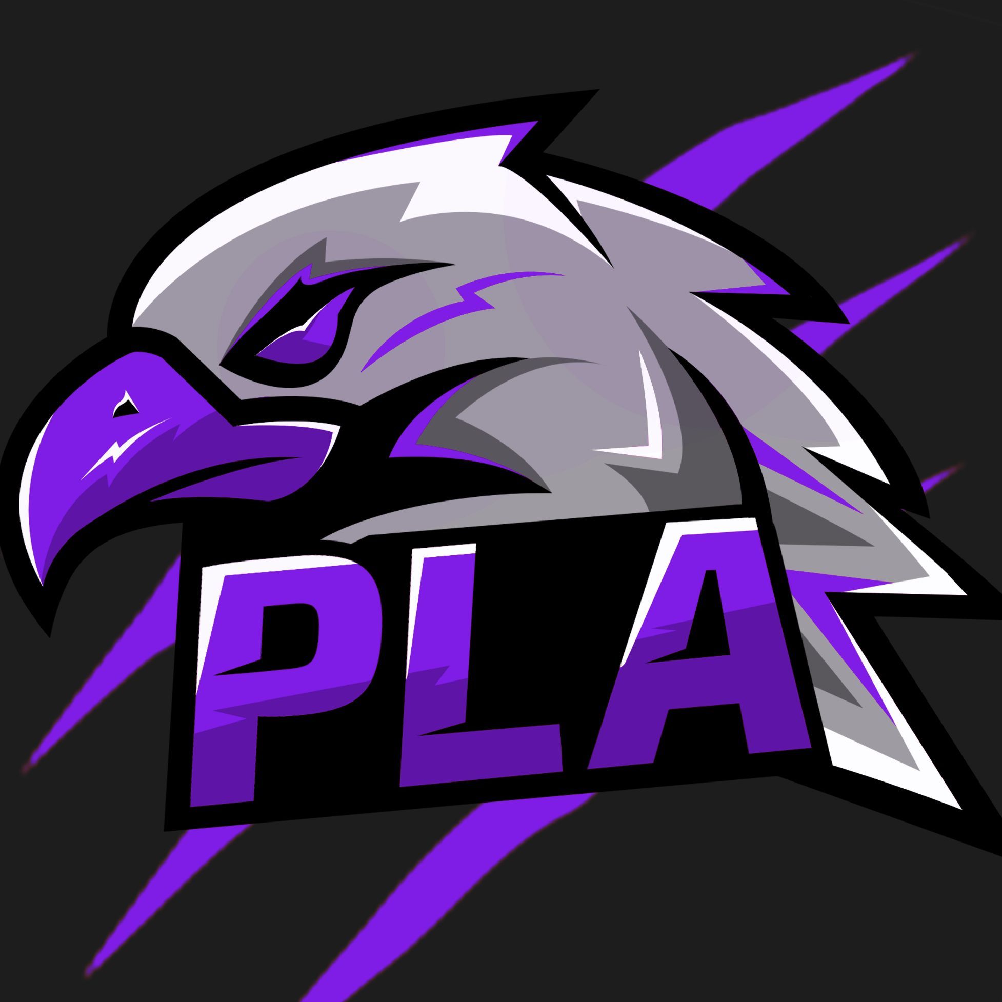 Wiercik102 FACEIT avatar