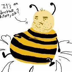 OBeeS