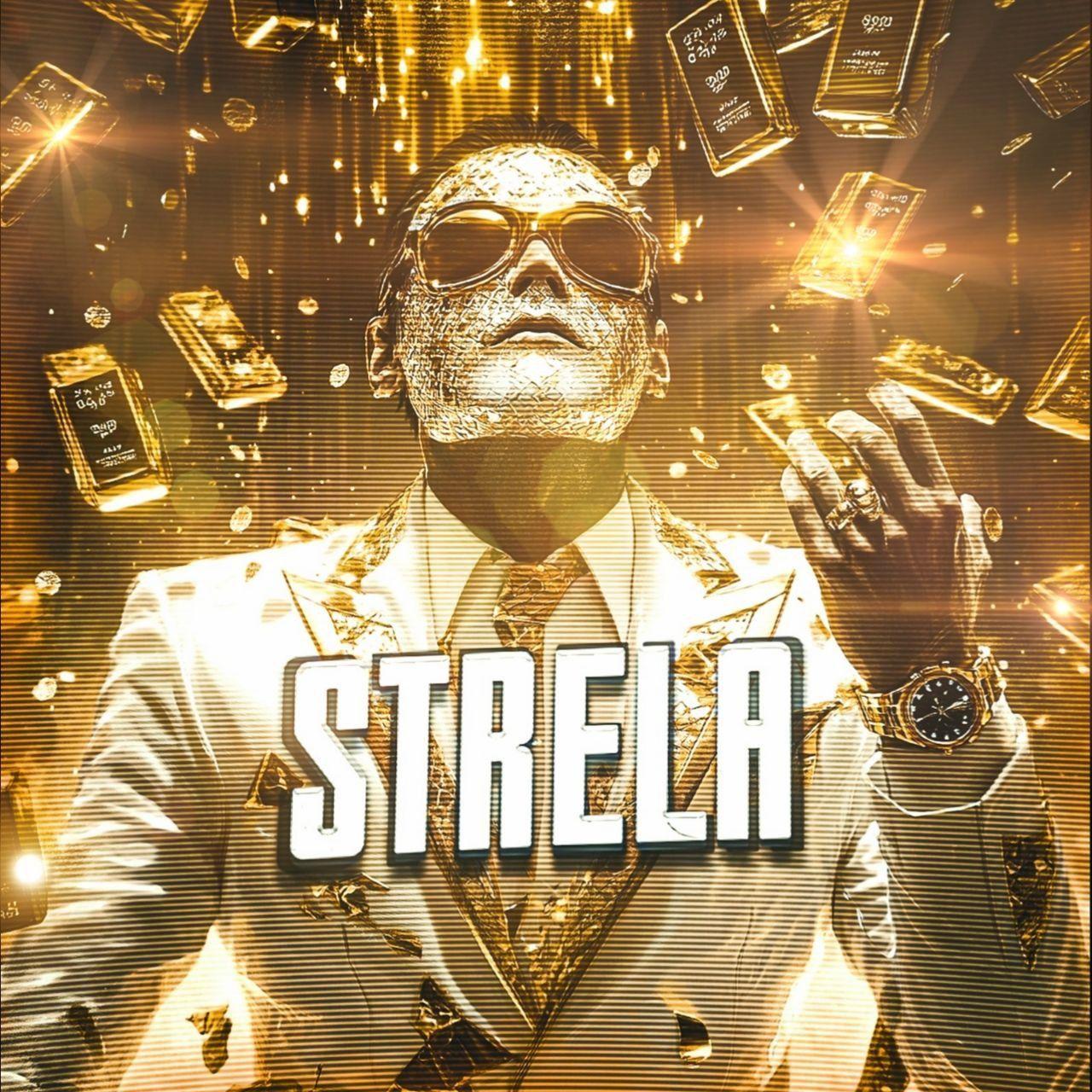 STRELA55559 avatar