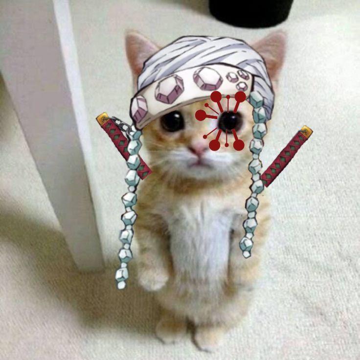 Bla1se_ avatar