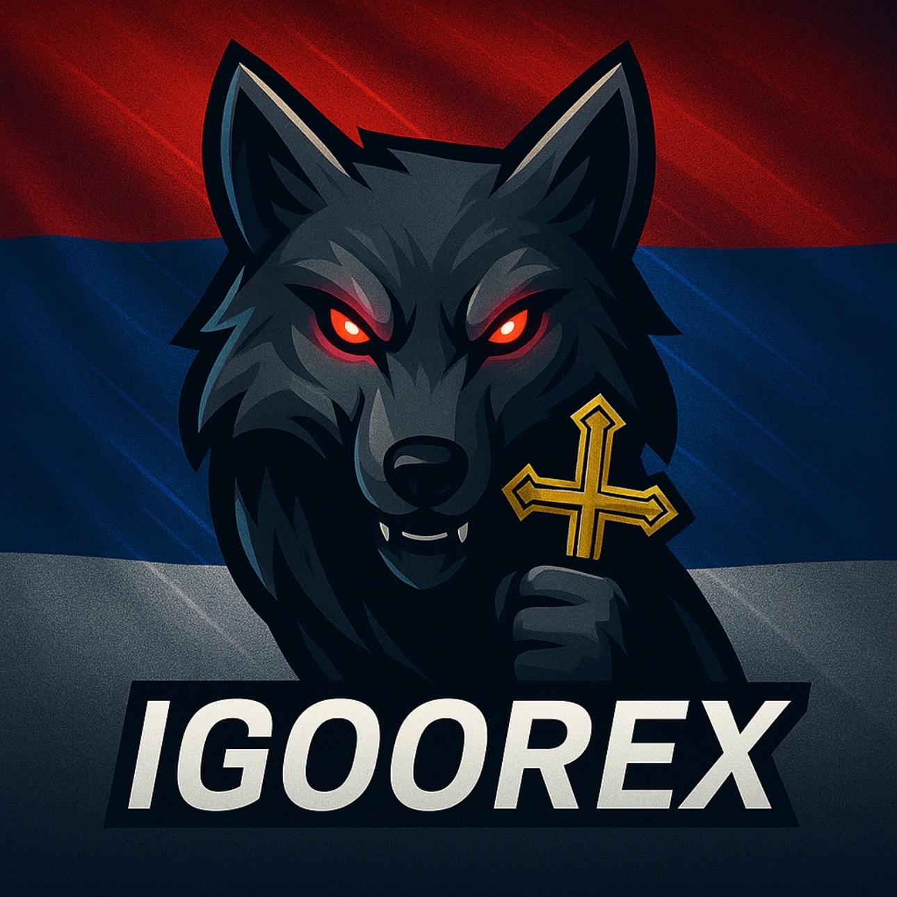 igoorex avatar