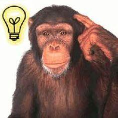 Bengan-