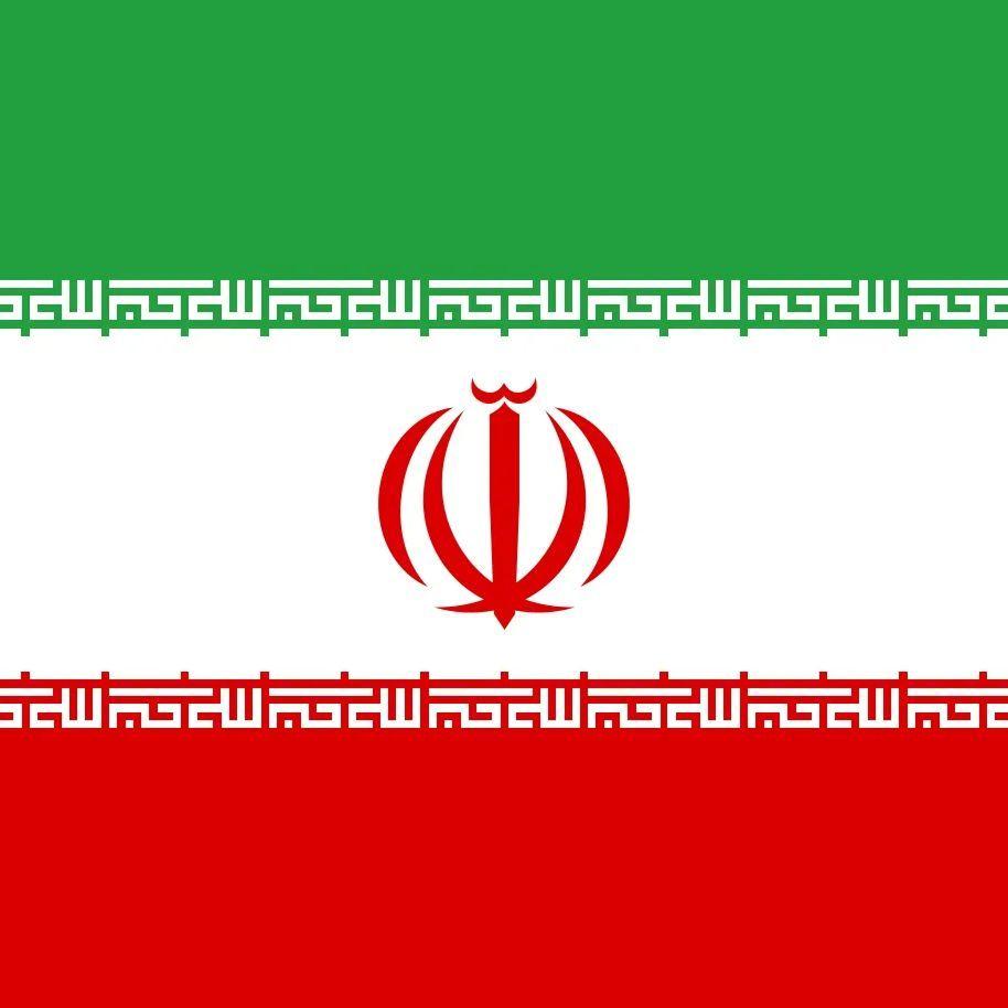 NASRALLAH313 avatar