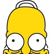 team_Homer_kurwaa