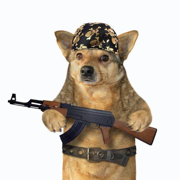 veezy1906 avatar